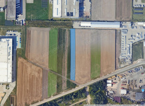 Image category