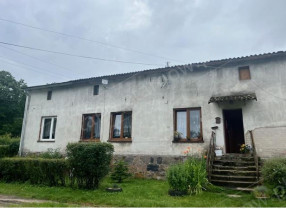Image category