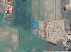 Image category