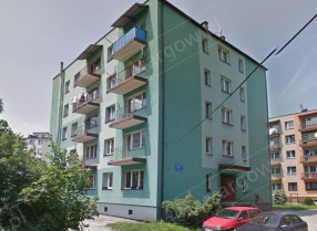 Image category