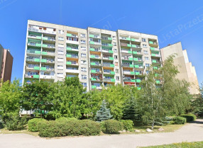 Image category