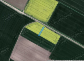 Image category