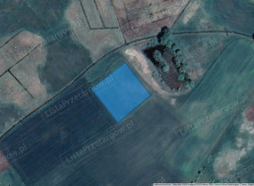 Image category