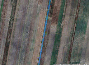 Image category