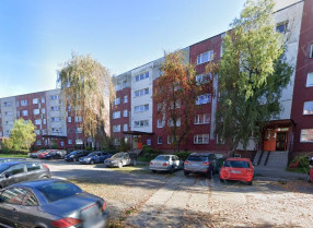 Image category