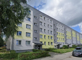 Image category