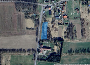 Image category