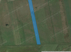 Image category