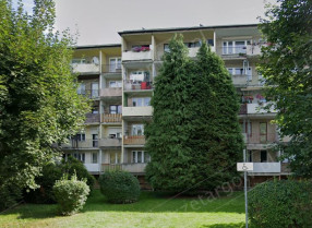 Image category
