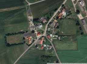 Image category