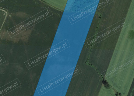 Image category
