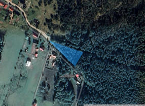 Image category