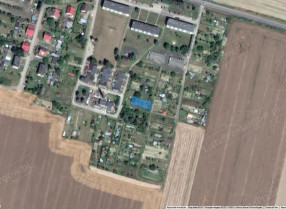 Image category