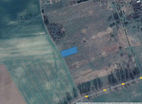 Image category