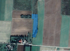 Image category