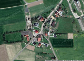 Image category