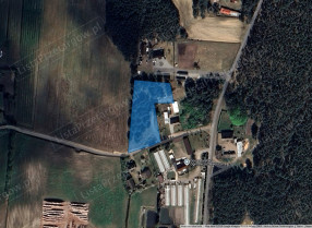 Image category