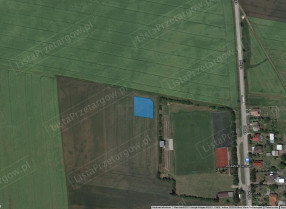 Image category