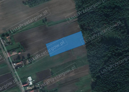 Nieruchomość