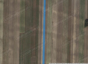 Image category