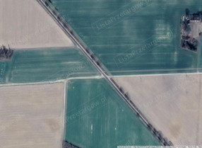 Image category
