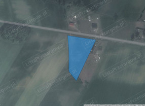 Image category