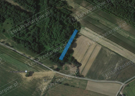 Image category