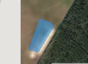 Image category