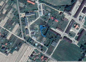 Image category
