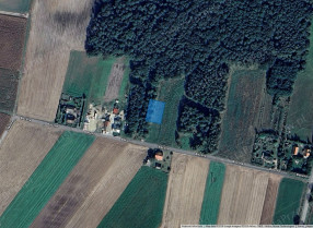 Image category