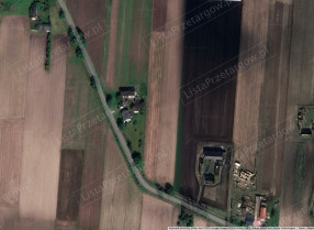 Image category