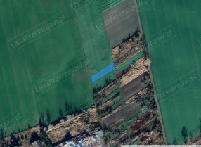 Image category