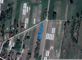 Image category