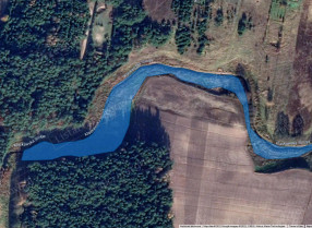 Image category