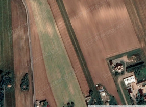 Image category