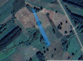 Image category