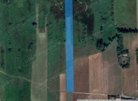 Image category