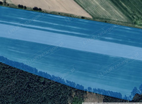 Image category