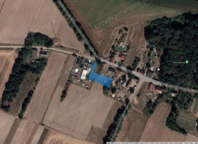 Image category