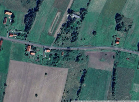 Image category
