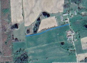 Image category