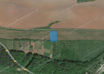 Nieruchomość
