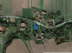 Image category