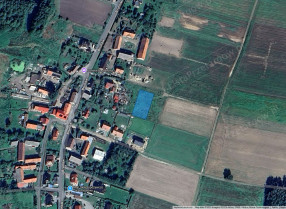 Image category