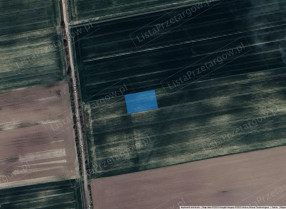 Image category