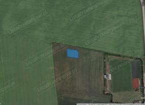 Image category