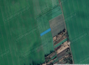 Image category