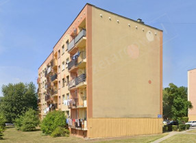 Image category