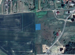 Image category