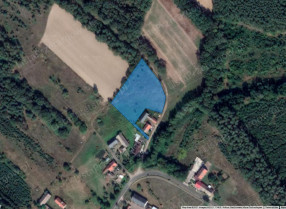 Nieruchomość
